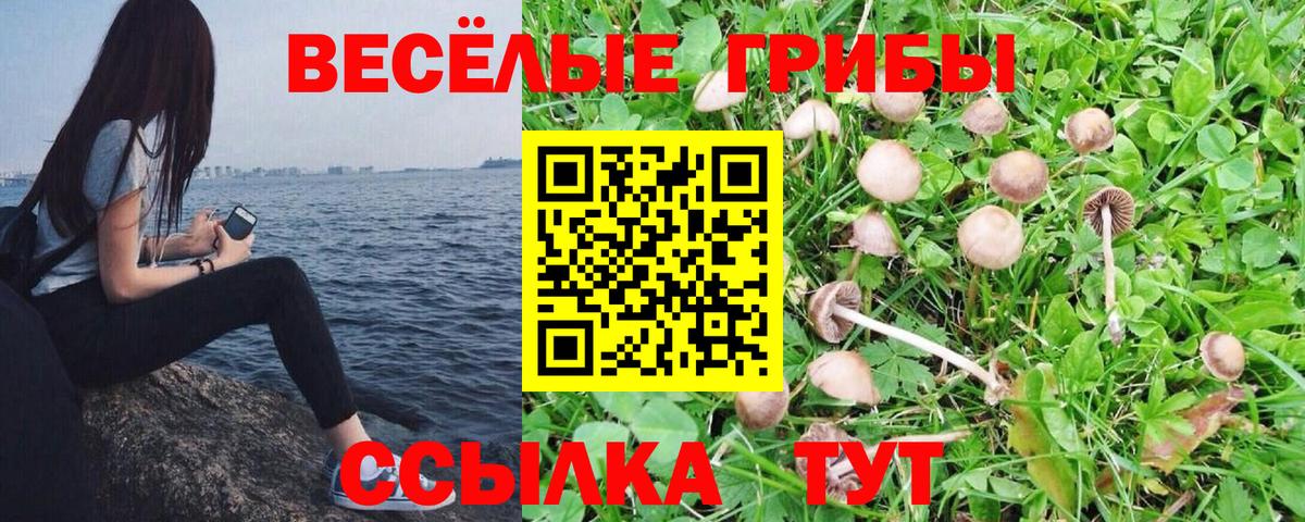 Псилоцибиновые грибы ЛСД  Псилоцибиновые грибы мицелий  Вход с VPN  Чебаркуль 