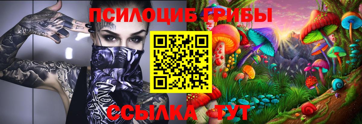 Галлюциногенные грибы GOLDEN TEACHER Чебаркуль