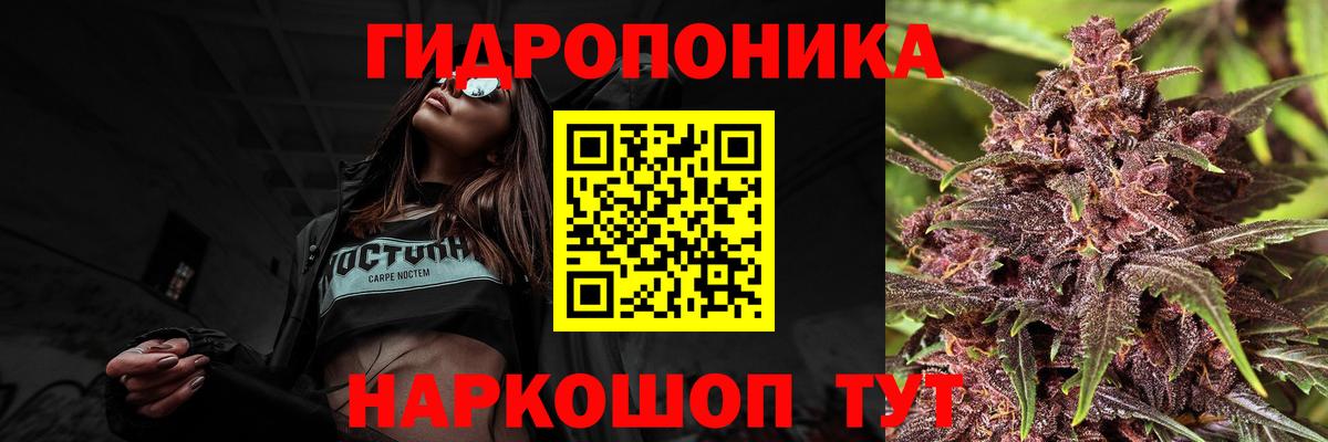 МАРИХУАНА сатива Чебаркуль